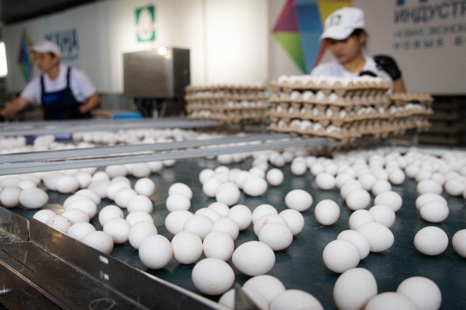 Kásiporyn ishki suranysty tolyq óteıdi