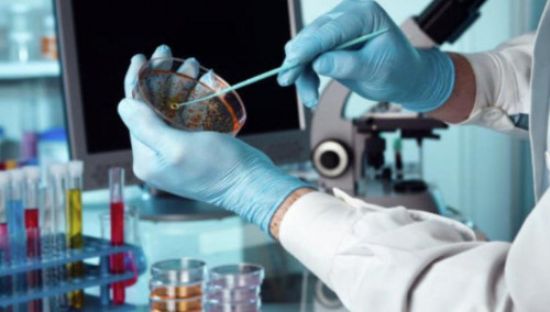 Almaty oblysyndaǵy Úlken Aqsý aýylynda  karantın engizildi