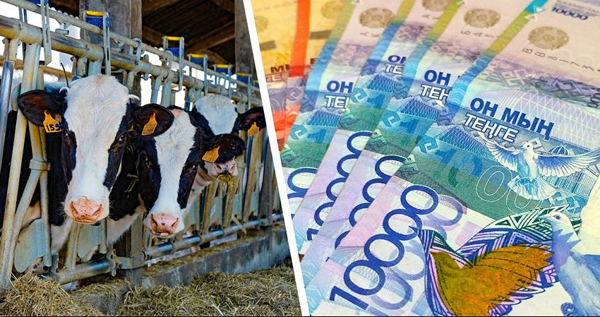 Asyl tuqymdy mal satyp alýǵa bólingen qarjyny jymqyrǵan sharýalar sottaldy