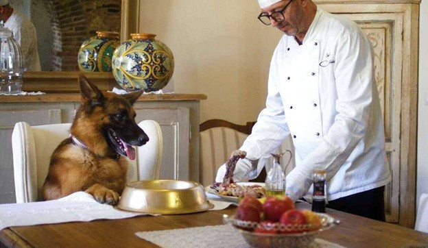 Ǵalam ǵajaptary: Eń baı ıt