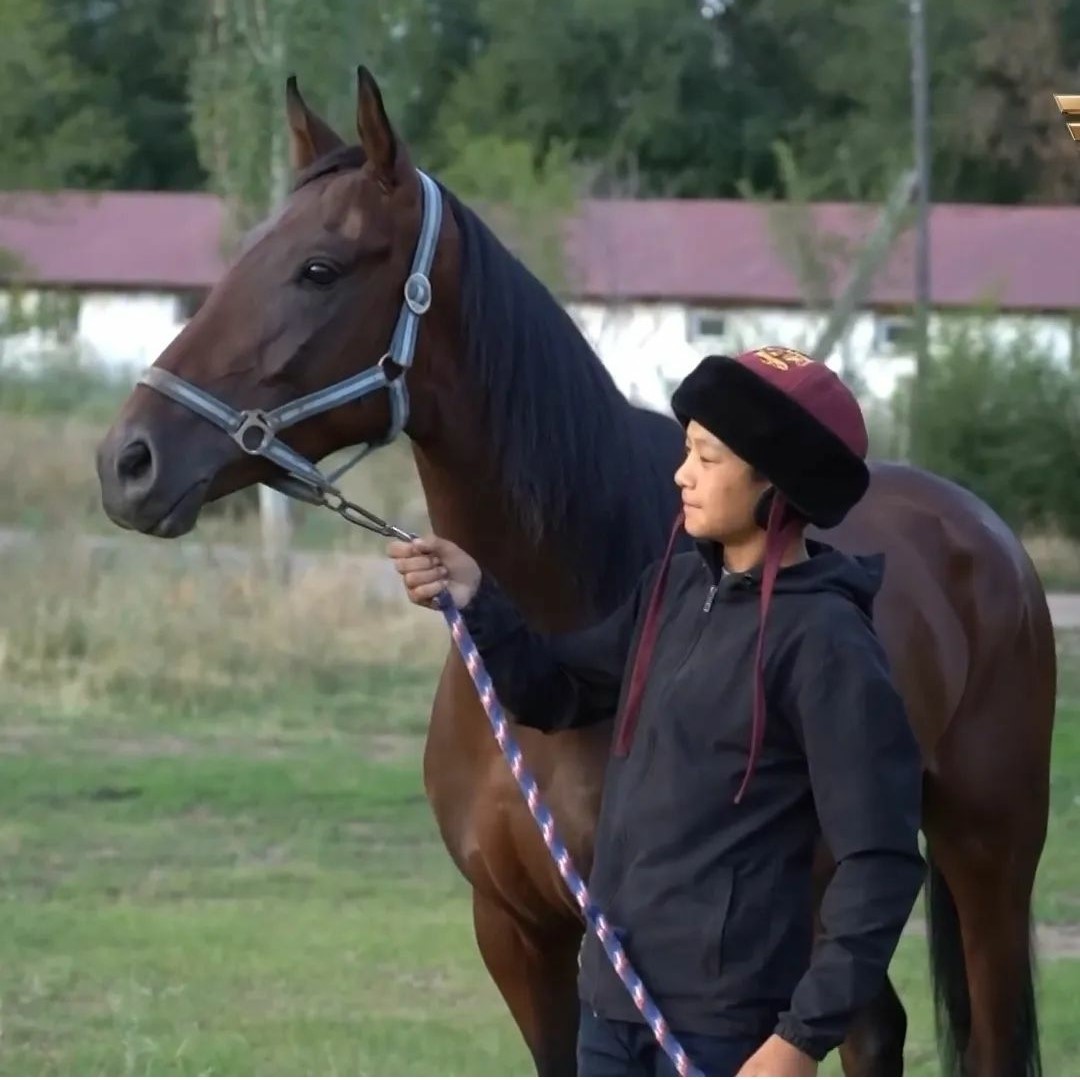«Alýan-alýan júırik bar...»