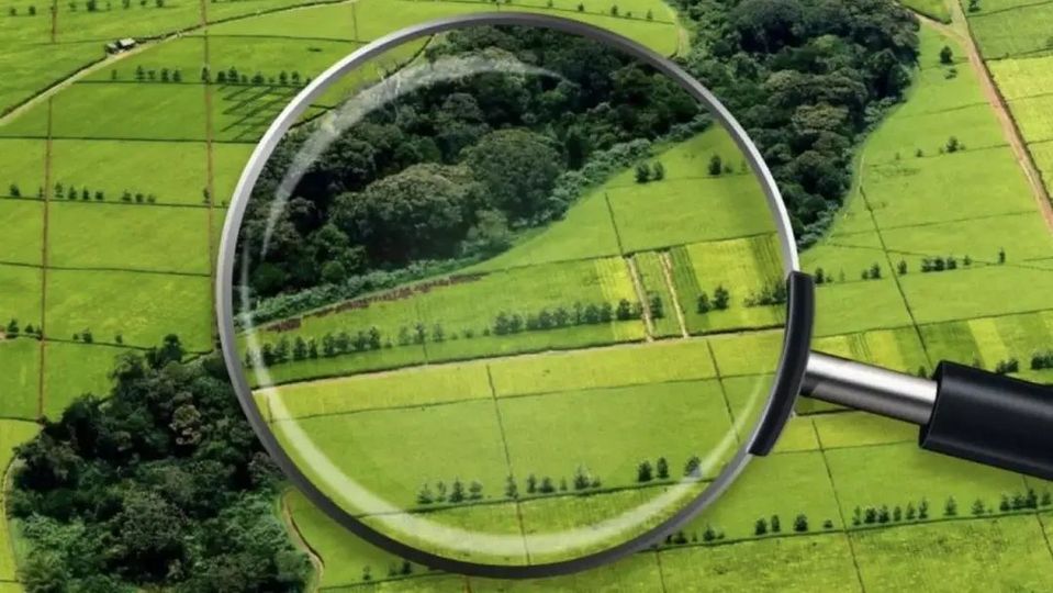 Jambyl oblysynda ıgerilmegen  2,7 myń gektar jer memleketke qaıtaryldy