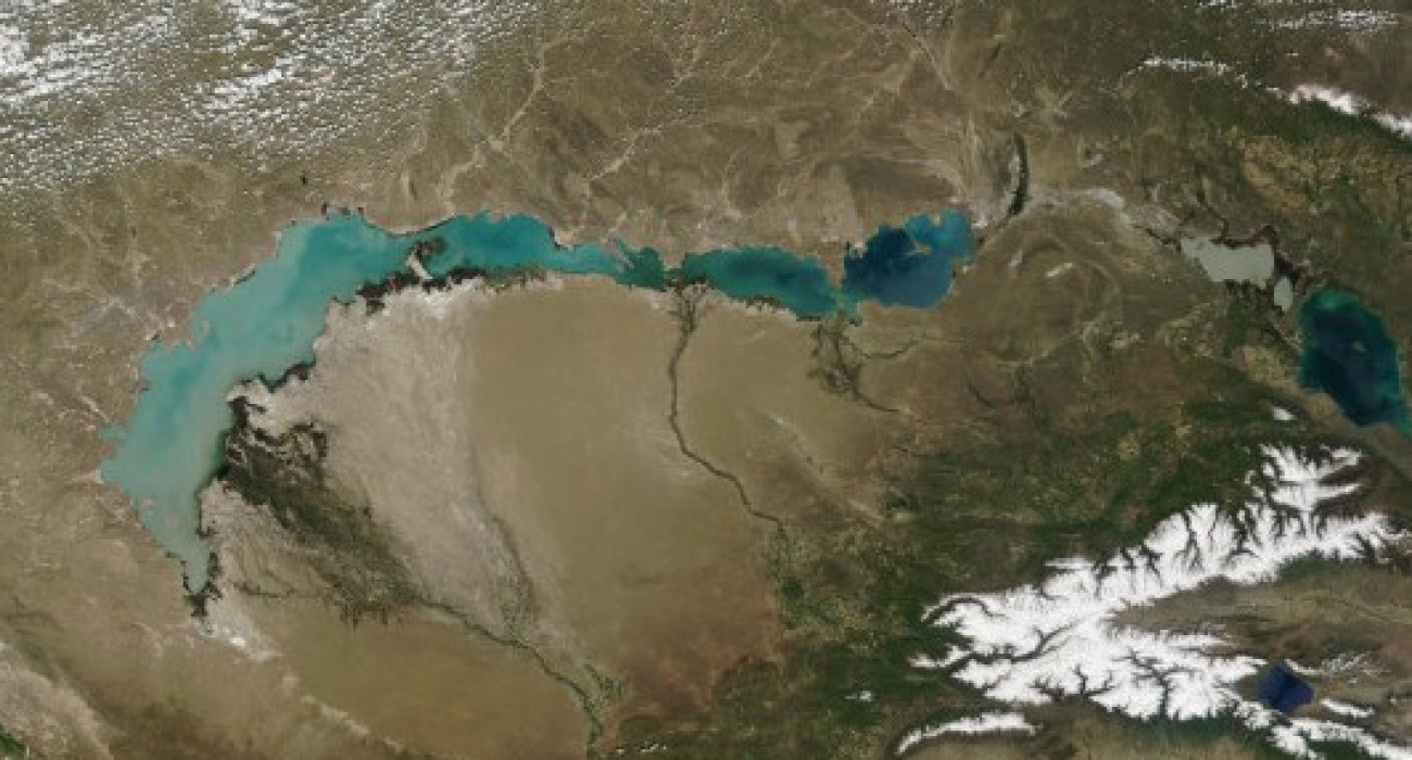 Balqash kóliniń baǵy janady