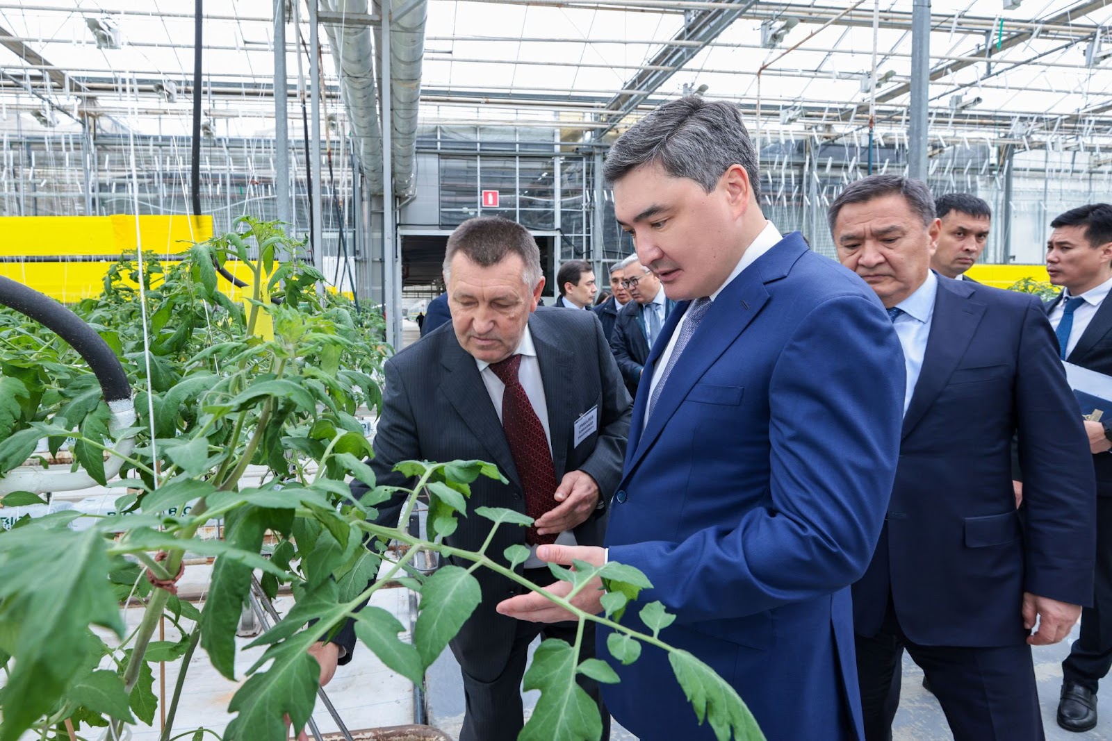 Oljas Bektenov eldegi eń iri jylyjaıdyń óndiristik qýatymen tanysty