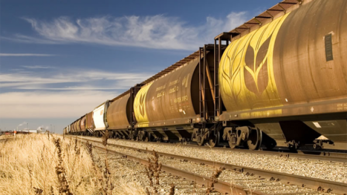 Reseıden Qazaqstanǵa 8 vagon bıdaı kirgizbek bolǵandardyń joly kesildi