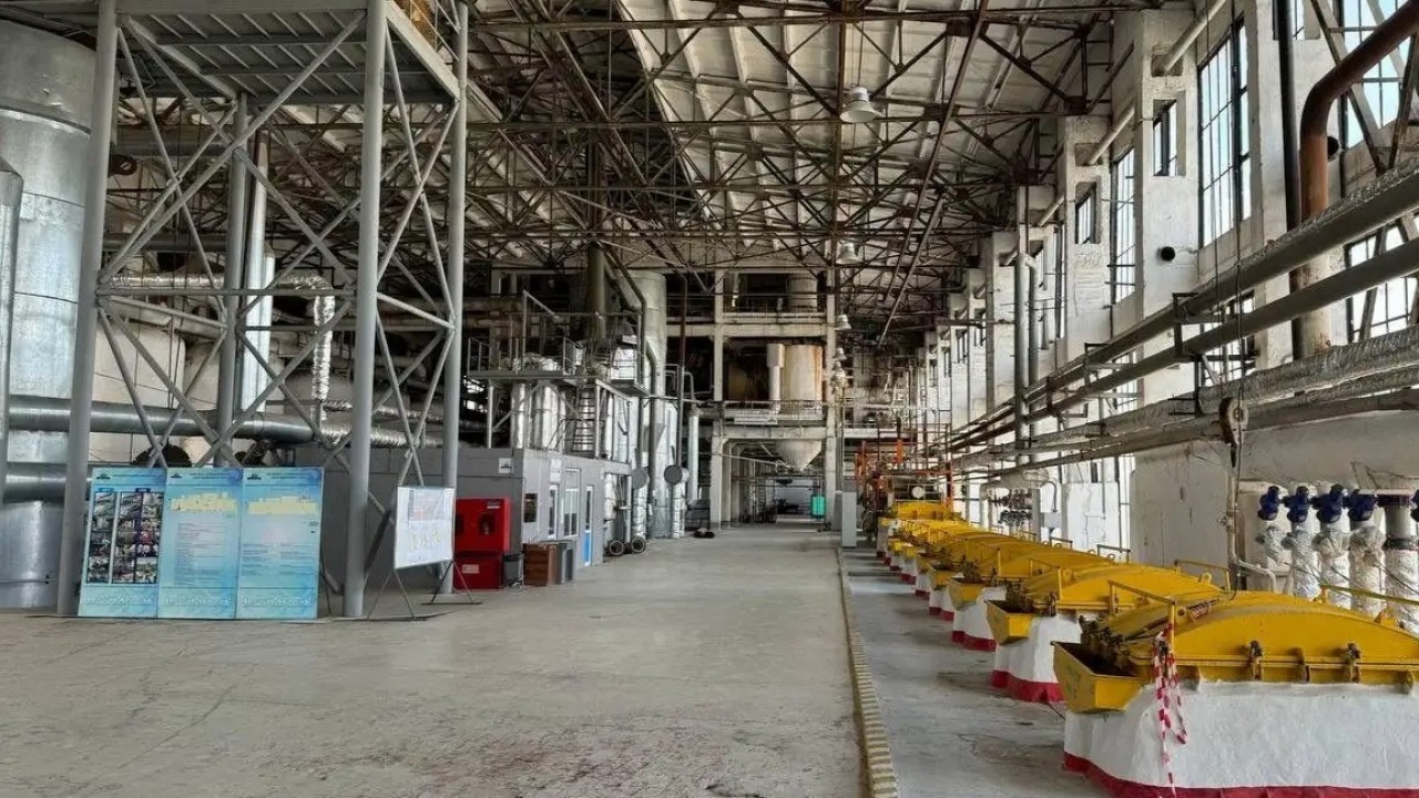 Qoqysty suryptaýǵa kóshedi