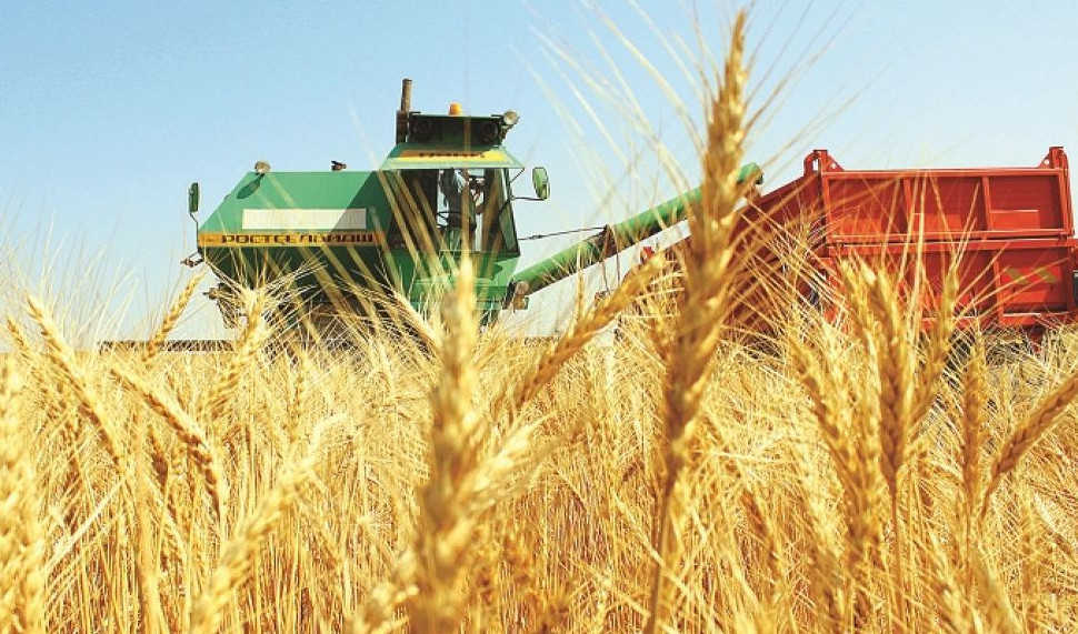 Fermerlerge astyqty keptirý úshin dızel men suıytylǵan gaz bólindi