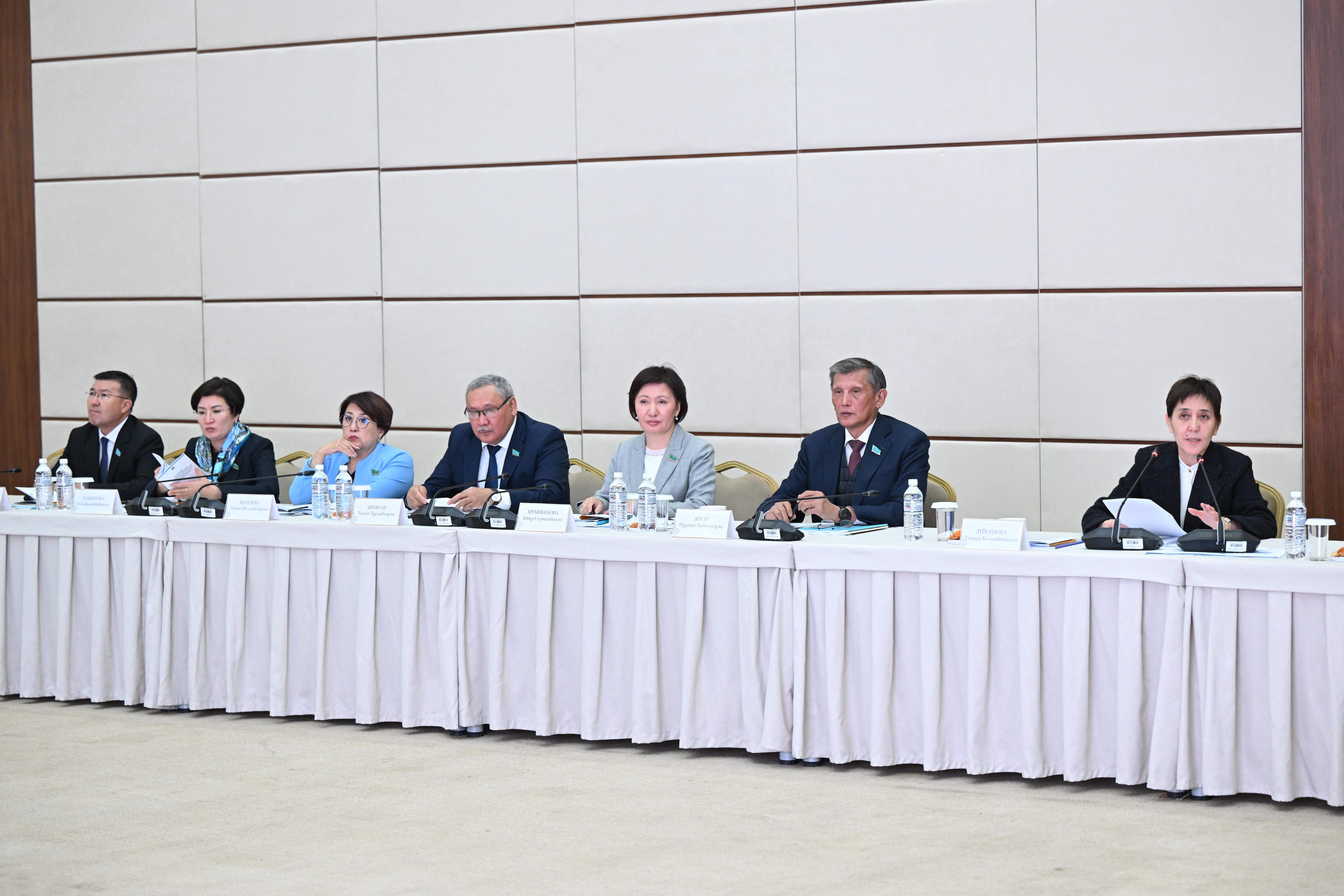 Senatorlar Prezıdent tapsyrmasyn iske asyrý máselesin talqylady