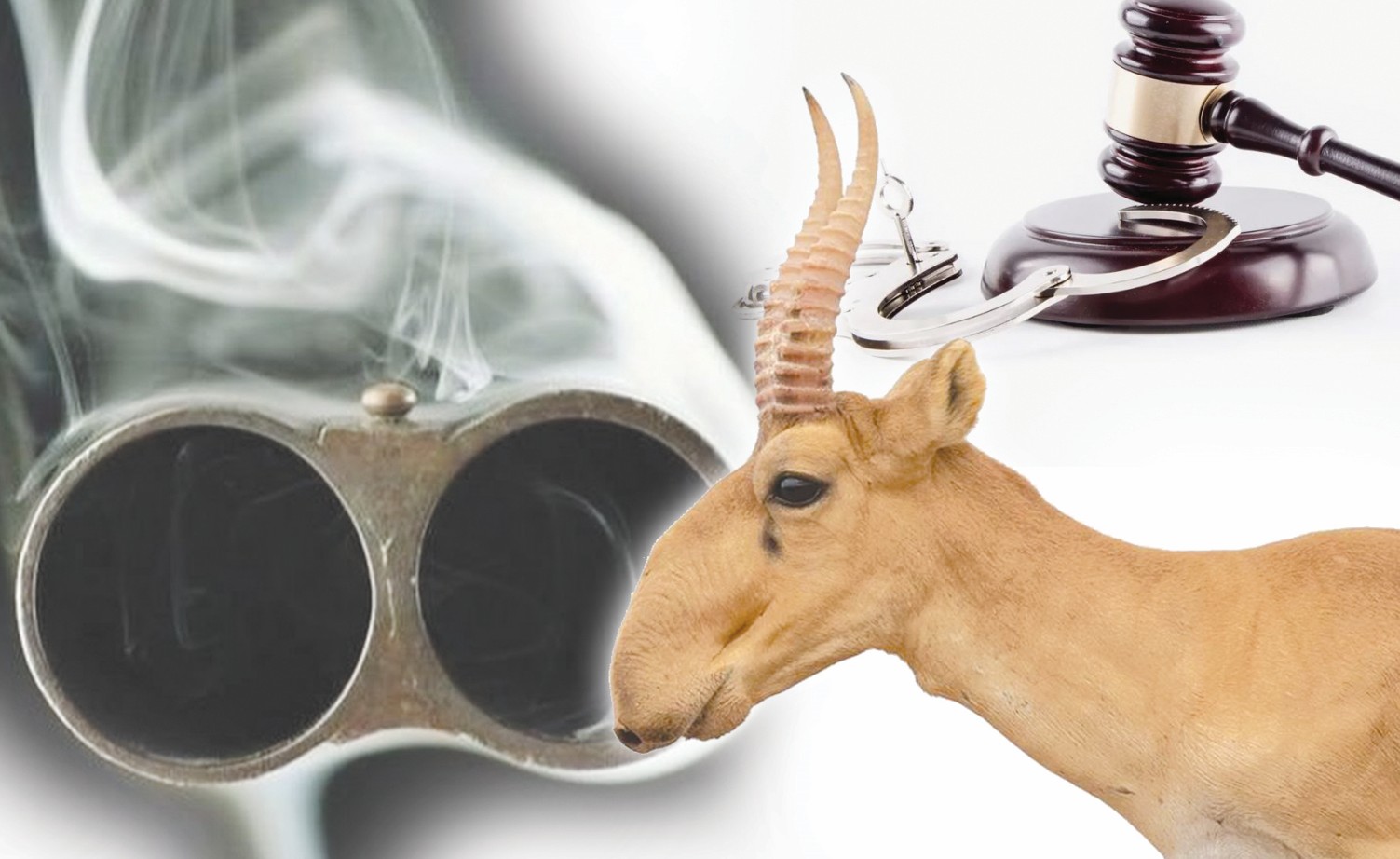 Qylmystyq kodekstegi qısynsyz bap nemese kıik múıiziniń áýresi