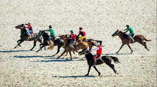 Dúnıejúzilik kóshpeliler oıyndary: Eń kóp kórermen jınaǵan jarys túri