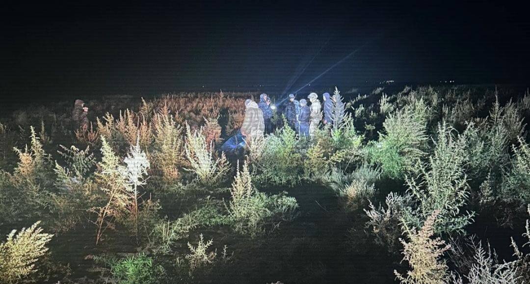 Qarasora-2024: Shý aýdanynyń turǵynynan 192 keli qarasora tárkilendi