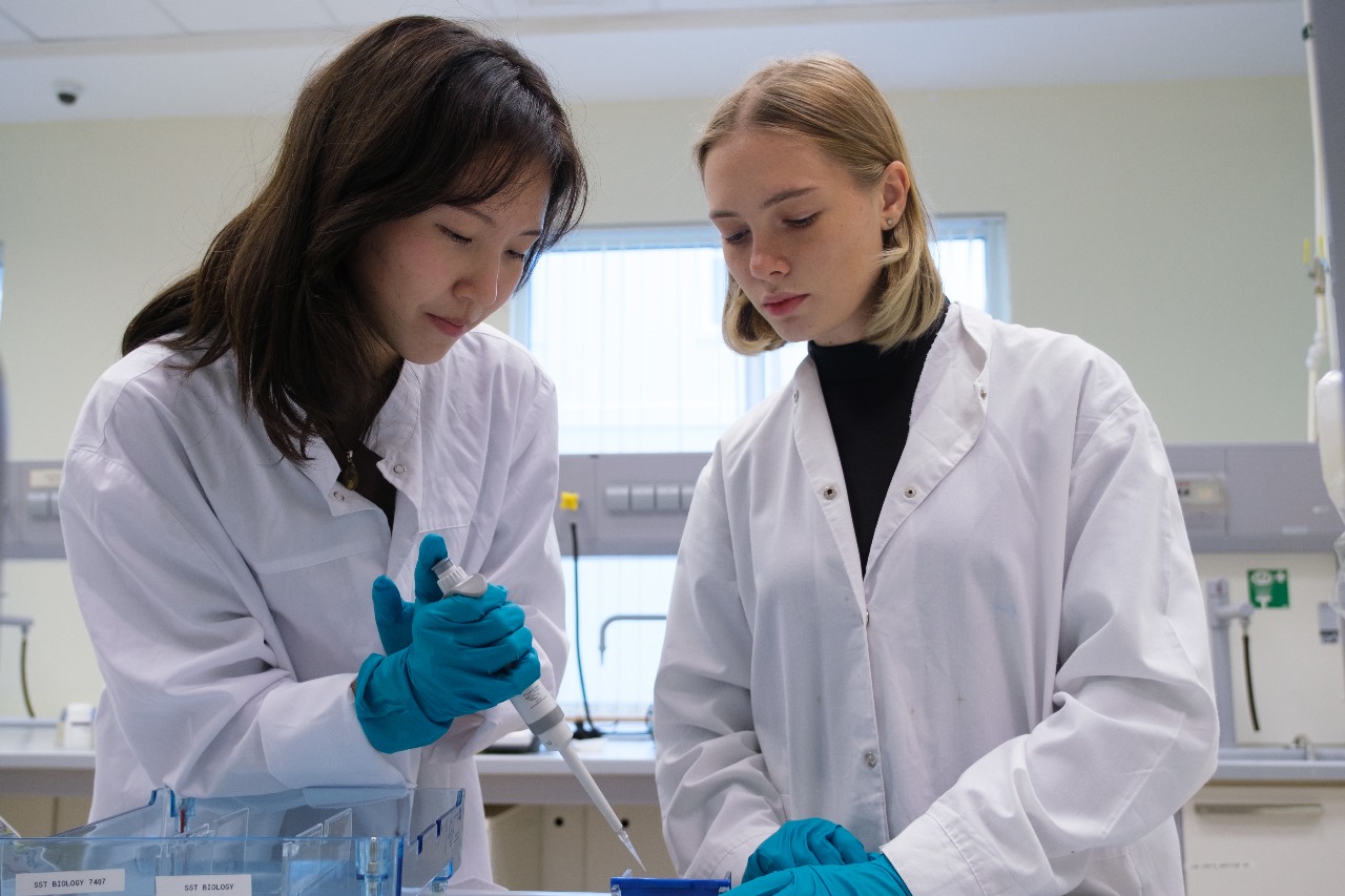 Qazaqstandaǵy endaýment: Joǵary bilim berý salasyndaǵy balamaly joldar