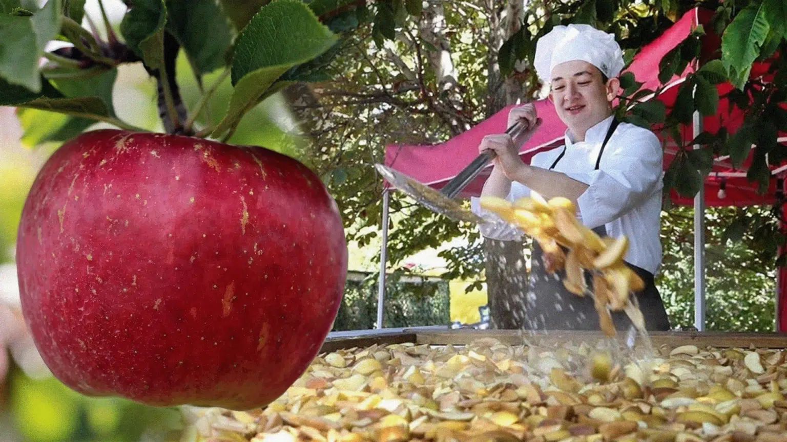 Ǵalam ǵajaptary: Kompottan rekord tirkeldi