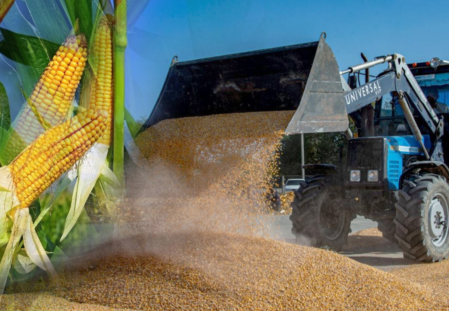 Júgeri sharýashylyǵynyń keleshegi qandaı?