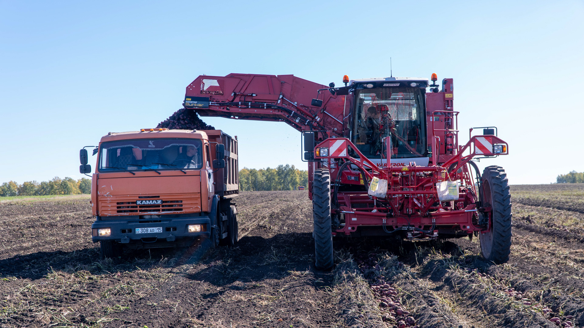 Naýqan kezinde sharýalar kómeksiz qalmaıdy