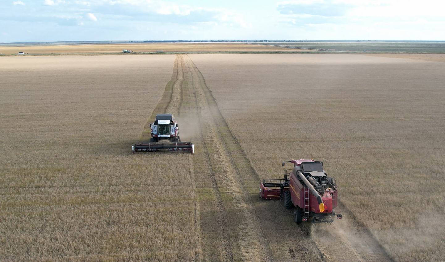 Dándi daqyl qambaǵa tústi