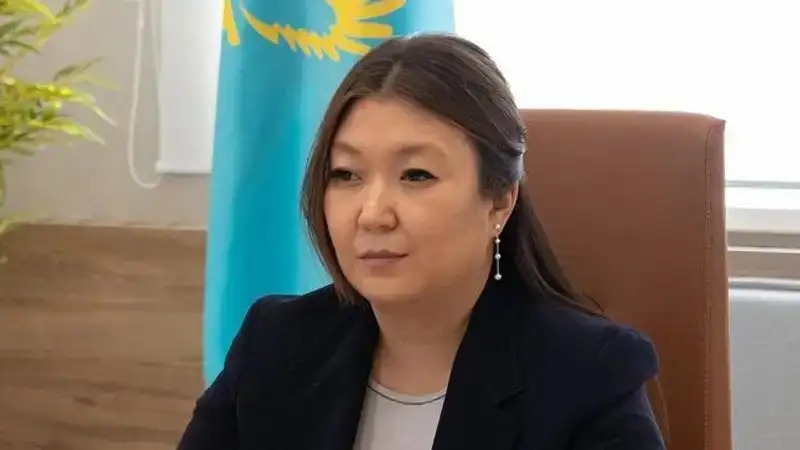 Bıyl sýısıd jasaýǵa nıettený máseleleri boıynsha 1 237 ótinish tústi - Dınara Zákıeva