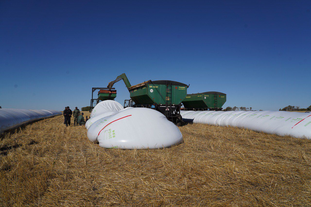 Eginjaıdan esken lep