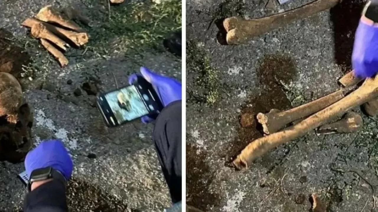 Almatyda ýnıversıtet aýmaǵynan adam súıegi tabyldy