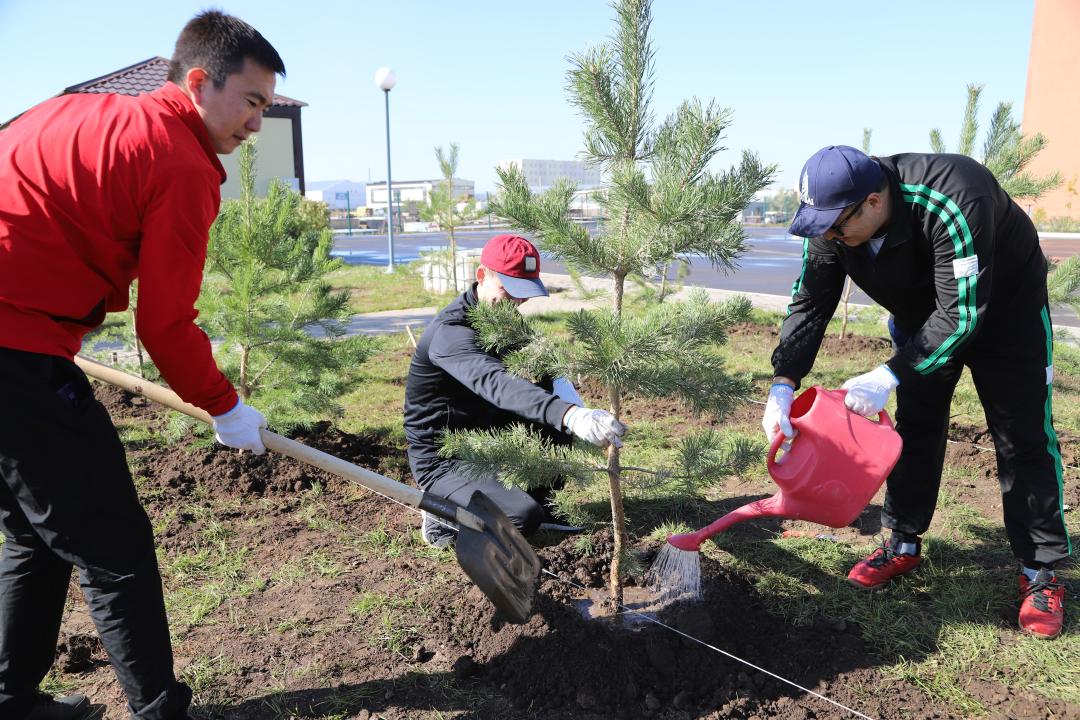 Taza Qazaqstan: Qutqarýshylar 100-den astam aǵash kóshetin otyrǵyzdy