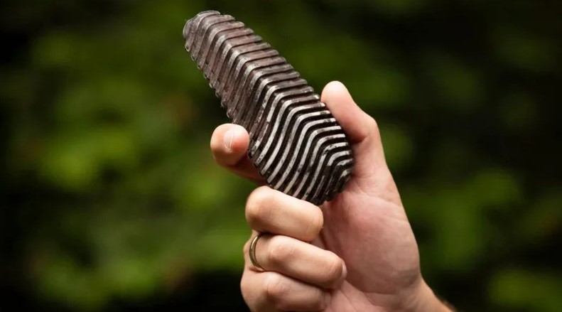 Ǵalam ǵajaptary: Orman qorǵaýshy jasandy ıntellekt