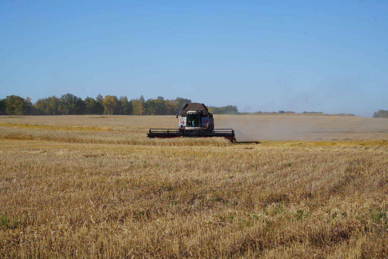 Yryzdyq joryǵy qyzǵan shaq