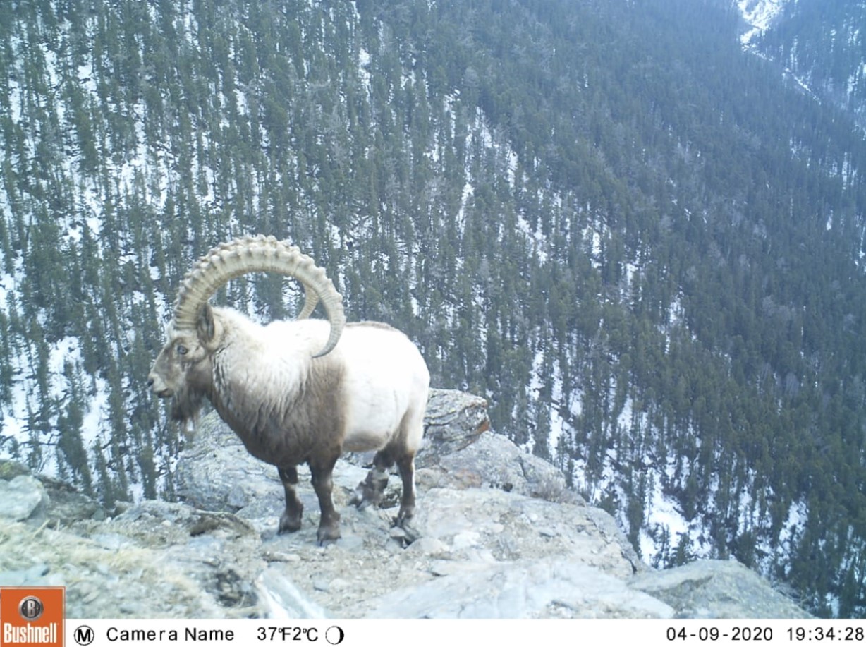 Shyǵys Qazaqstan oblysy,
Katonqaraǵaı aýdany, 
Arshaty aýyly