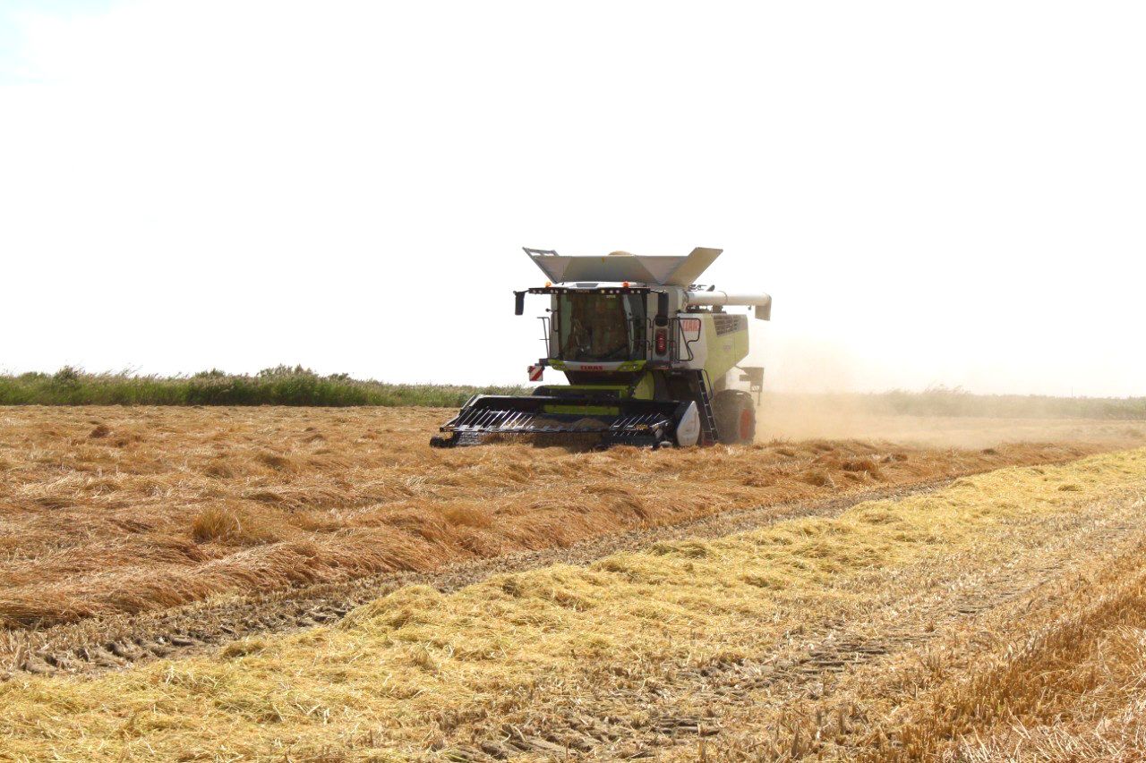 Tókken terdiń óteýi