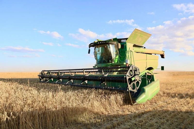 Qambaǵa astyq tolady