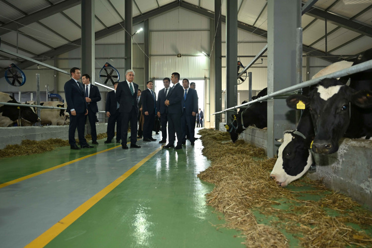 Memleket basshysy «Bórte Mılka» taýarly sút fermasymen tanysty