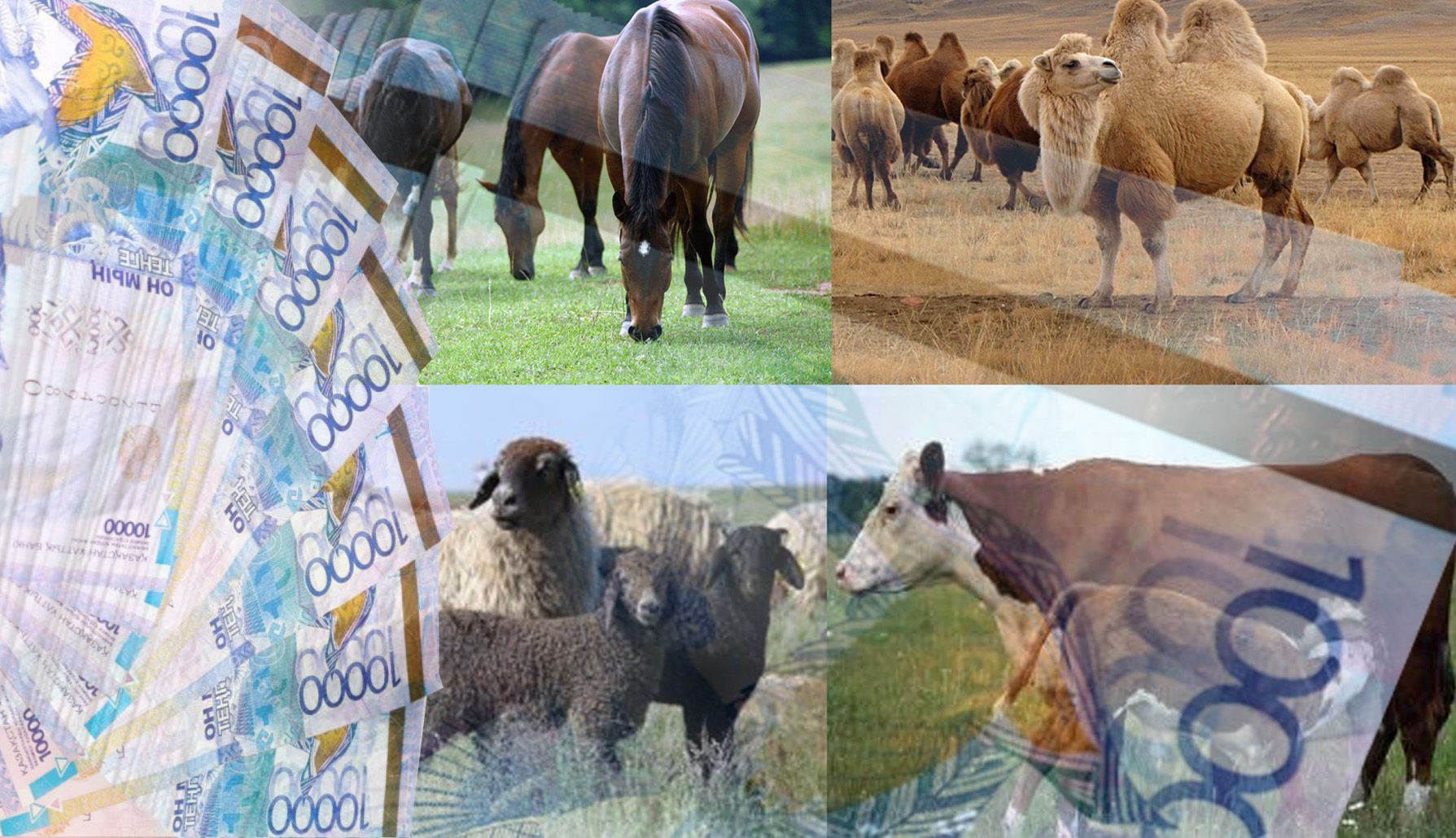 Taýarly nesıege –  tórt túlik