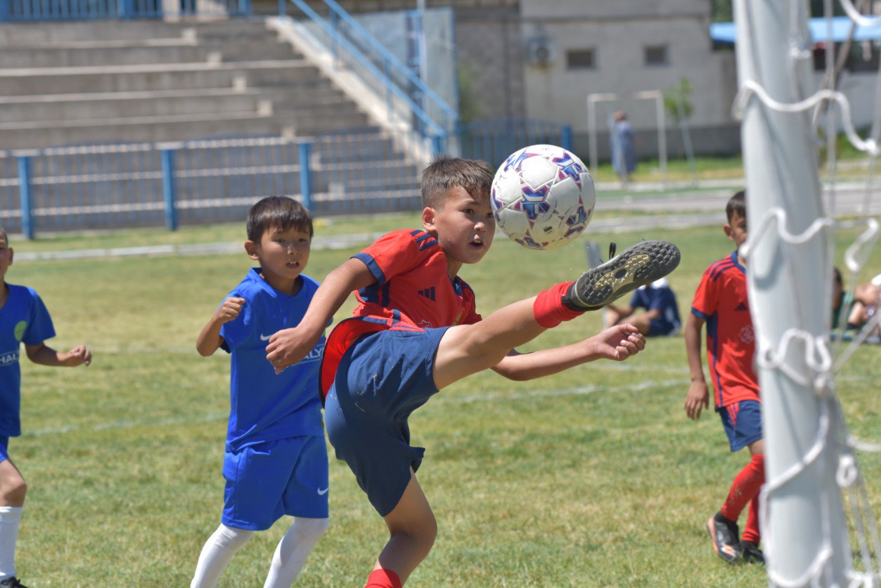 Daryndardy shyńdaıtyn joba