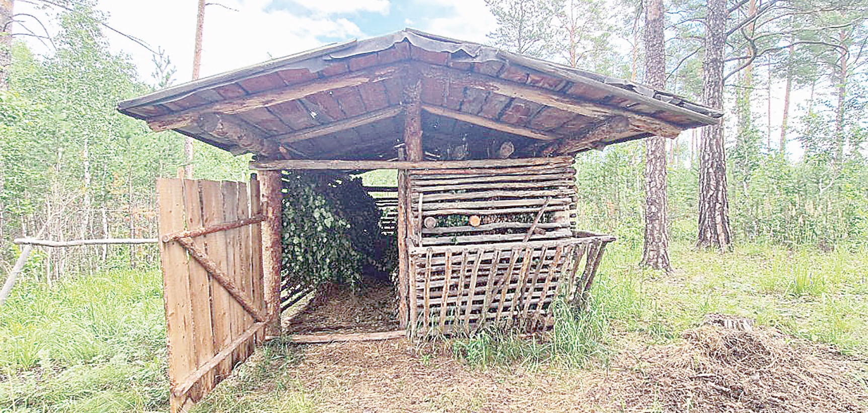 Ań-qustarǵa azyq daıyndalyp jatyr