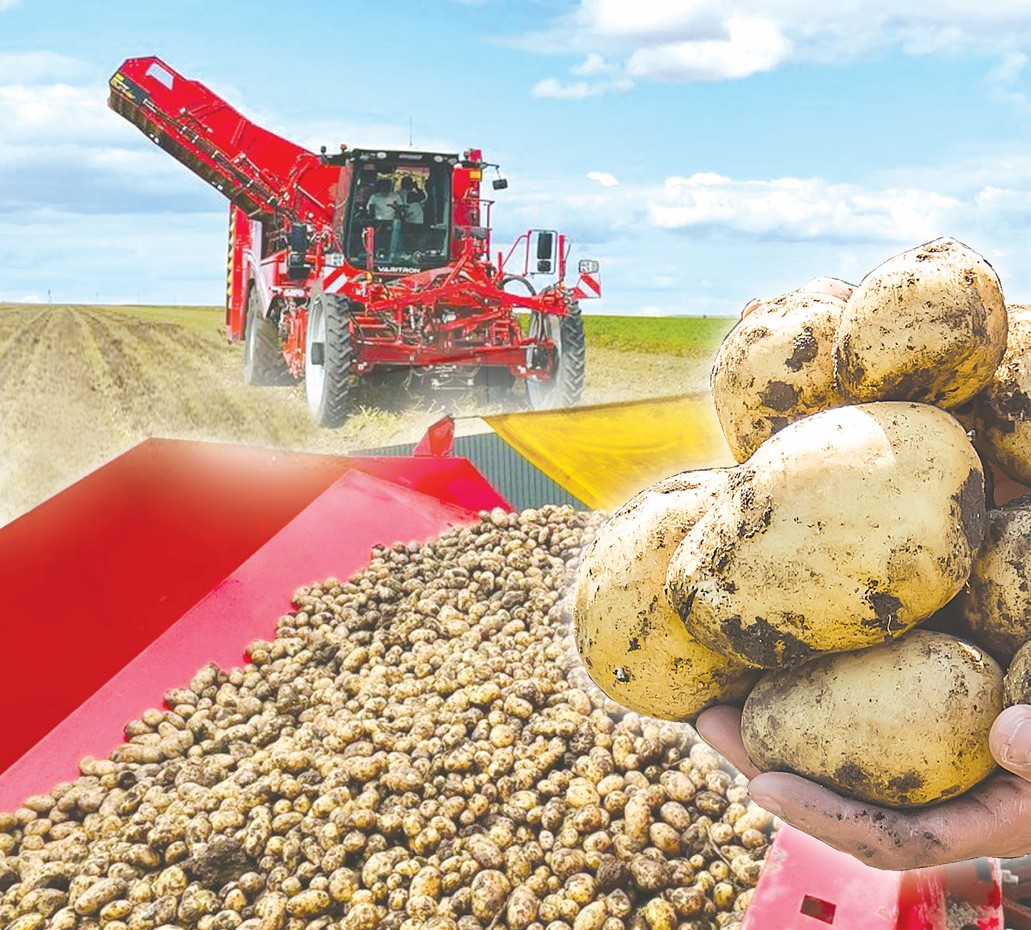 Tıimdi kelisim tabysqa bastaıdy