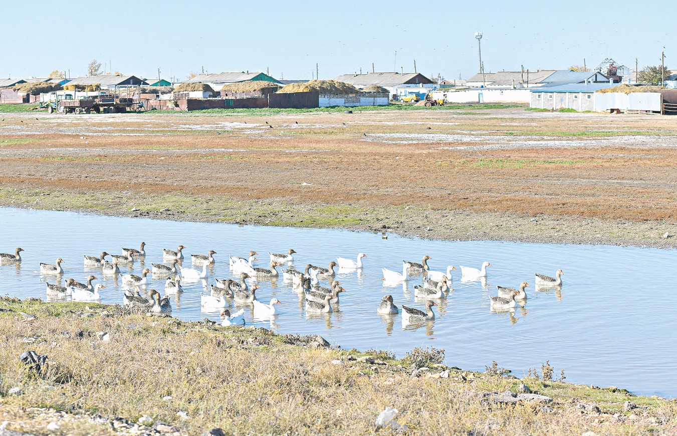 Rýhanı dúnıeniń reńi