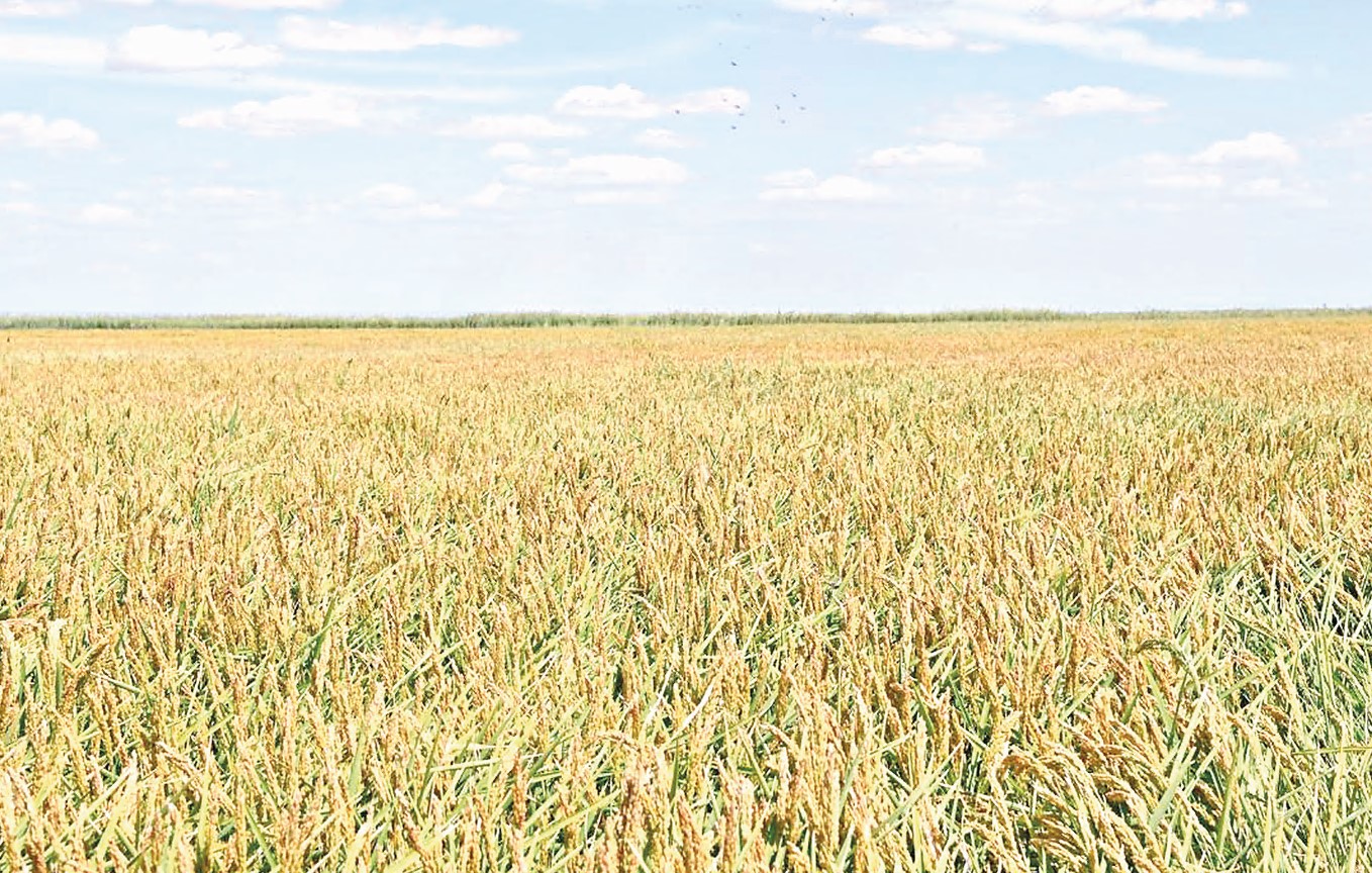 «Polıfosfat – ekologııalyq taza tyńaıtqysh»