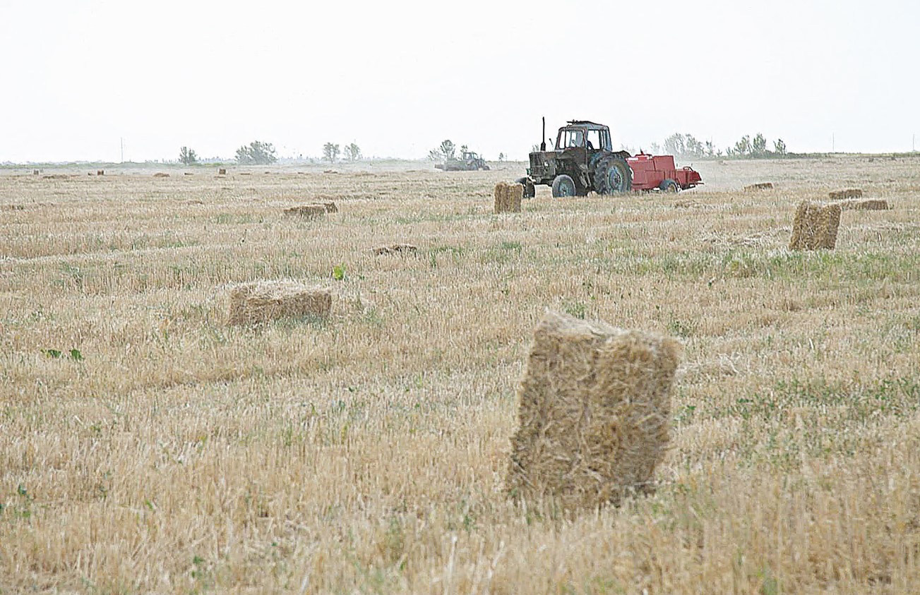 Mal azyǵy jetkilikti