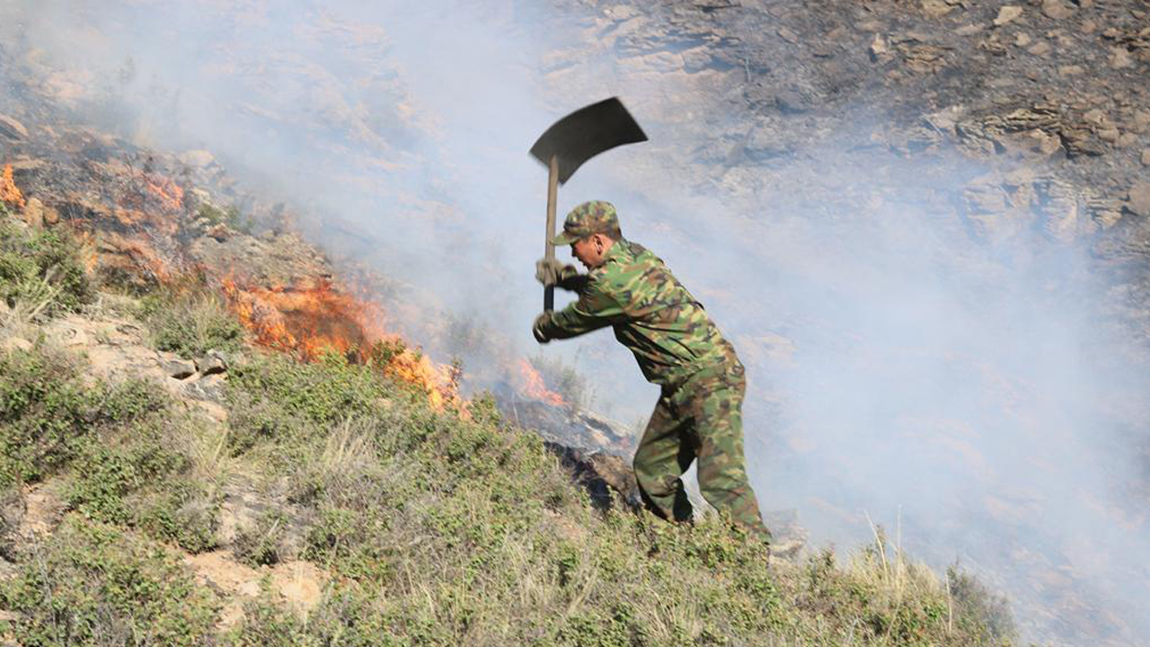 Qarqaralyny sharpyǵan órt 21 myń gektarǵa tarady