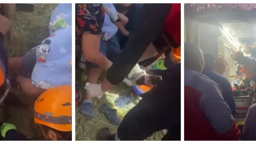 Jeti jasar balanyń aıaǵyna aıyrdyń tisi kirip ketken