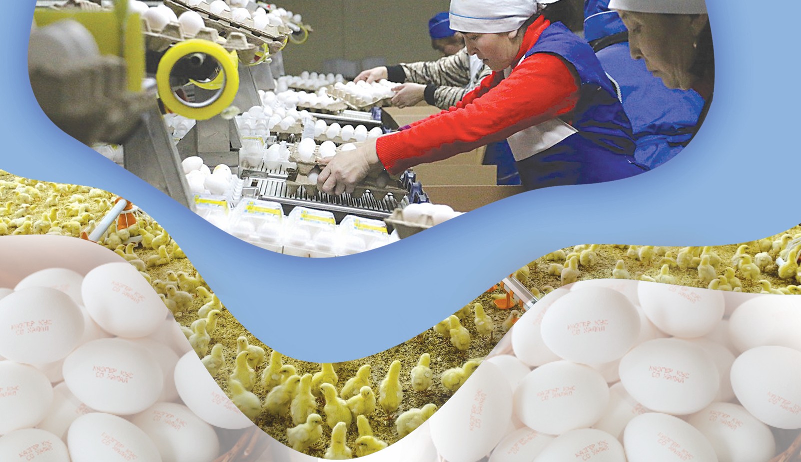 Eńbeksiz yrys kirmeıdi