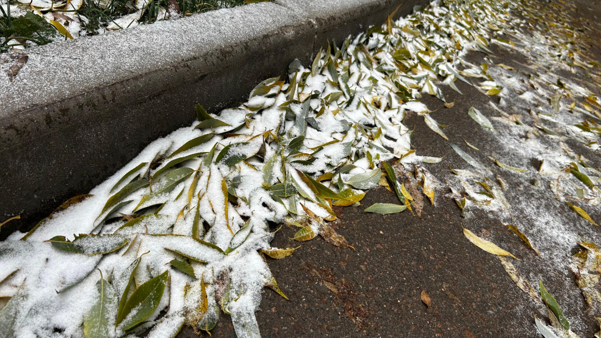 Astanada alǵashqy qar jaýdy