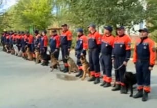 Kınologtardyń respýblıkalyq jıyny ótti