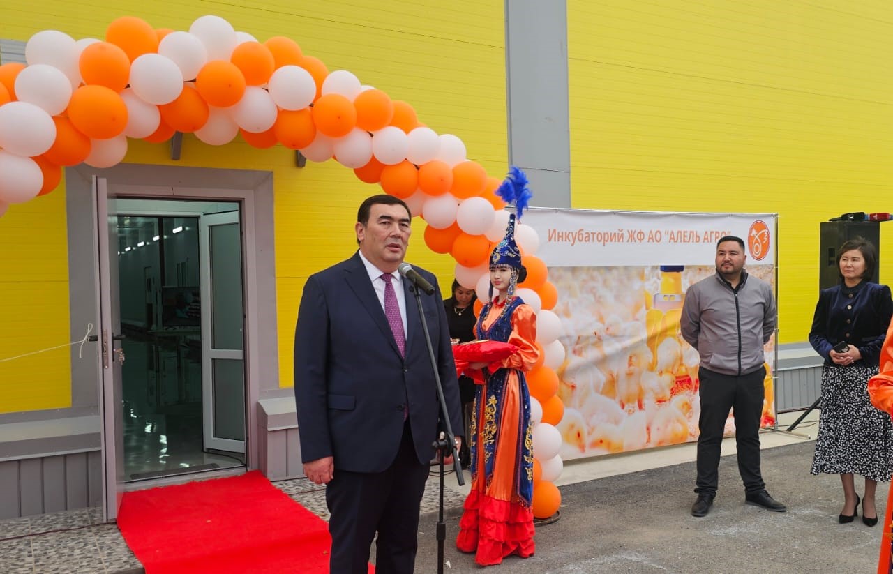 38 mıllıon balapan shyǵarady