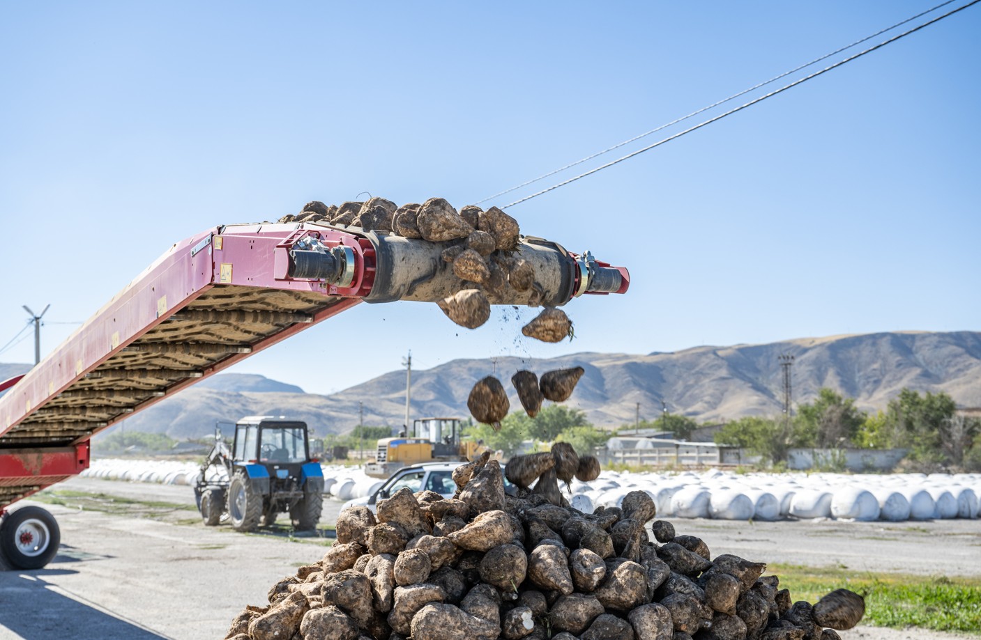 Qant qyzylshasyna jańa tehnologııa kerek