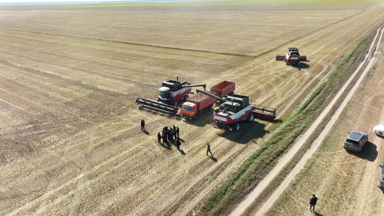 Mańdaı terdiń jemisi