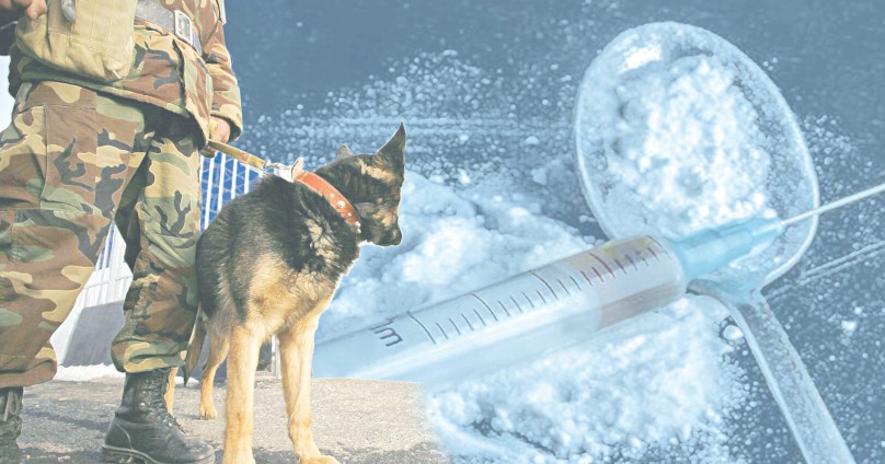 Esirtkige qarsy kúres tolastamaıdy