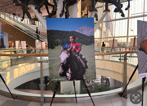 Explore Jana Qazaqstan fotokórmesi ótedi