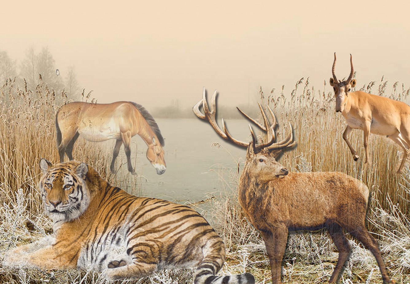 Ysqyryp atqan kıiktiń obaly...