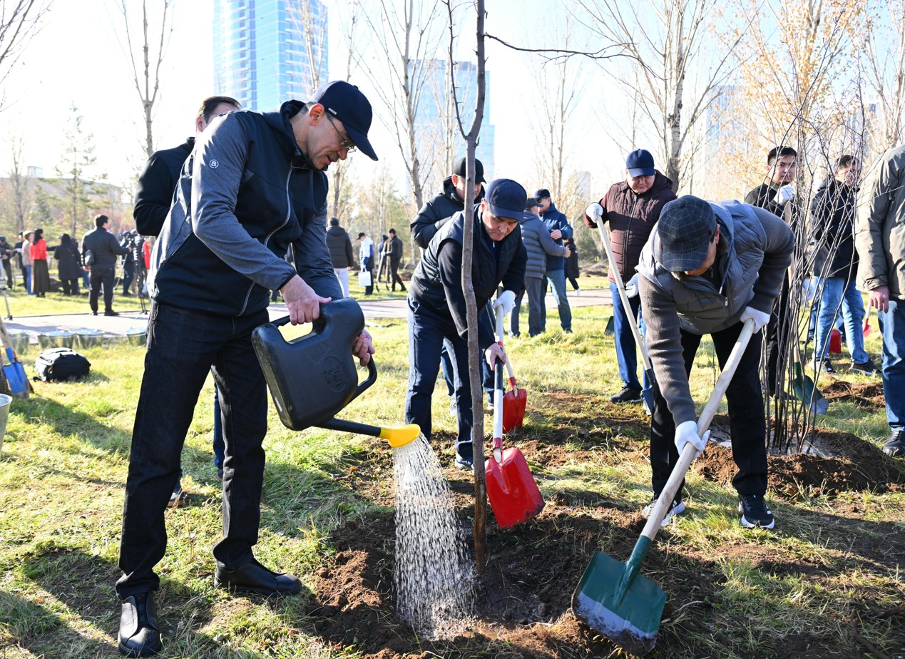 Senatorlar ekologııalyq aksııaǵa qatysty