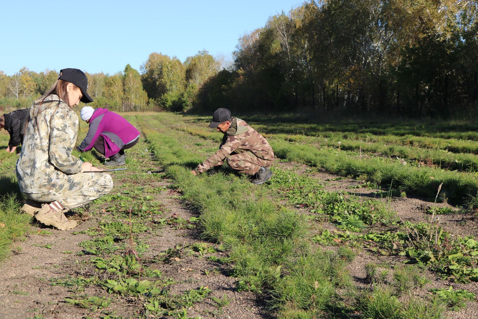 Qaraǵaı kóshetteri otyrǵyzyldy